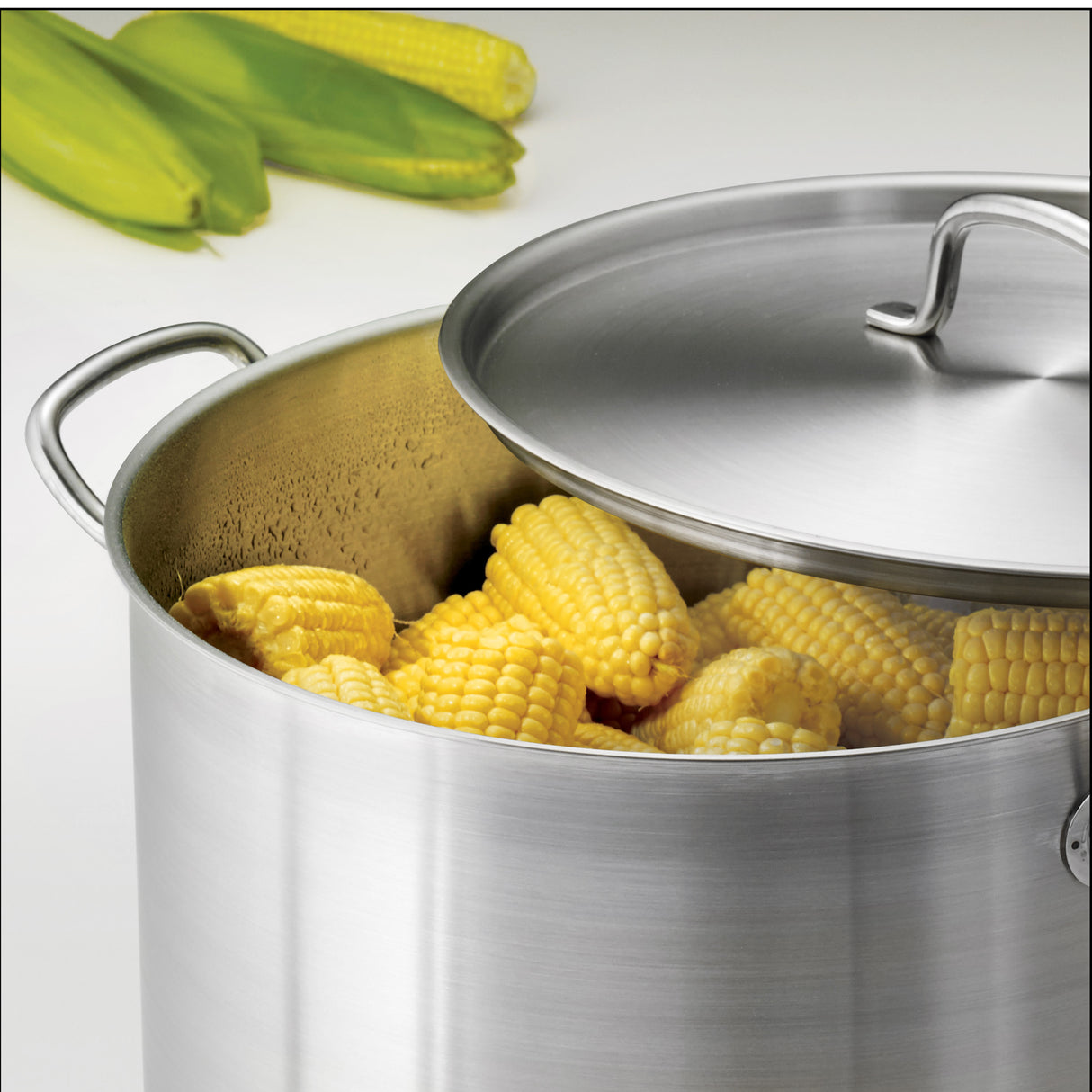 Pro Line Stainless Steel Covered Stock Pot