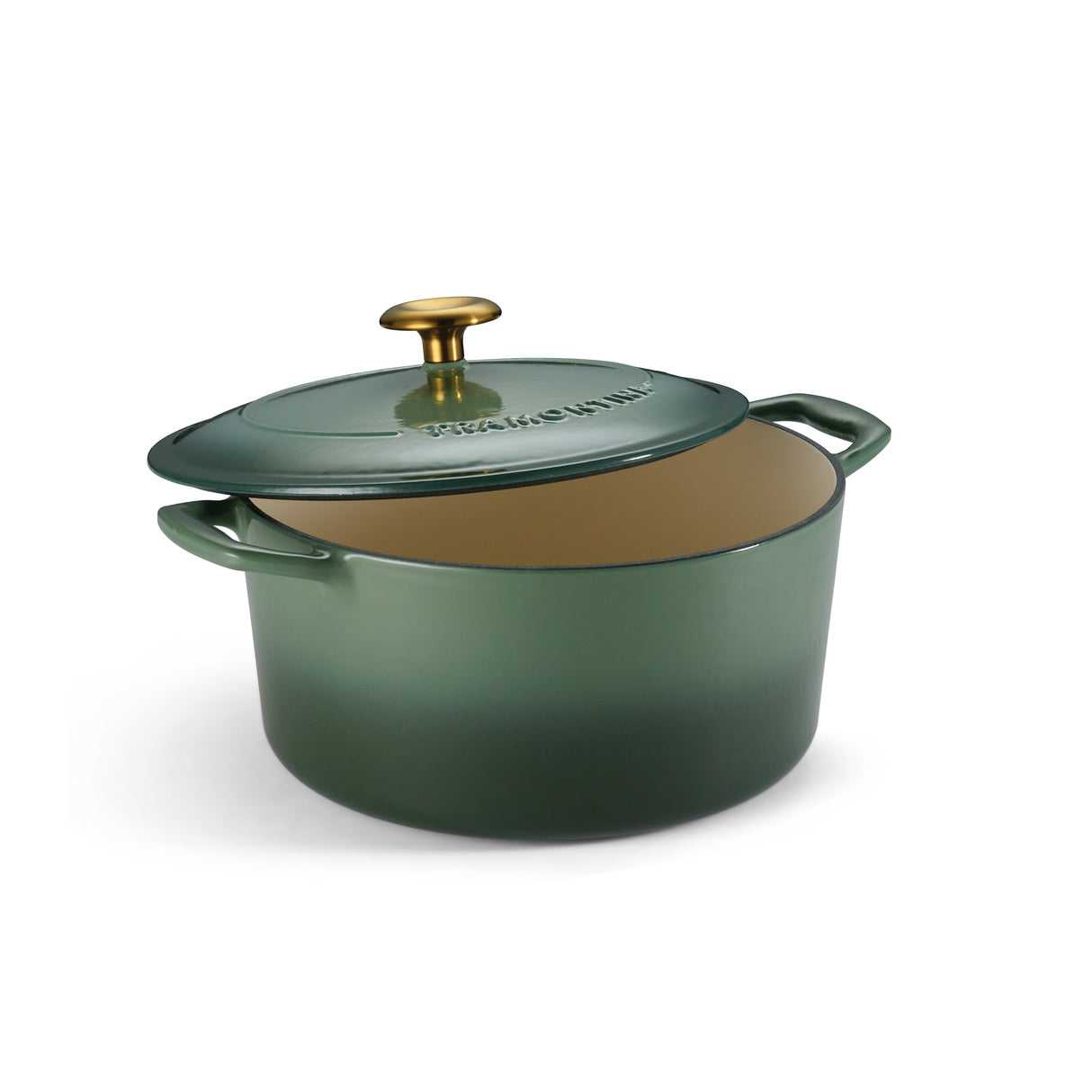 5.5 Quart Enameled Cast Iron Covered Dutch Oven - Cactus