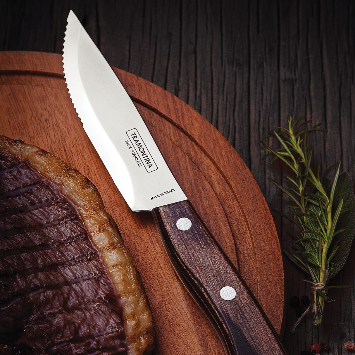 4 PC STEAK KNIFE SET - POLYWOOD HANDLE