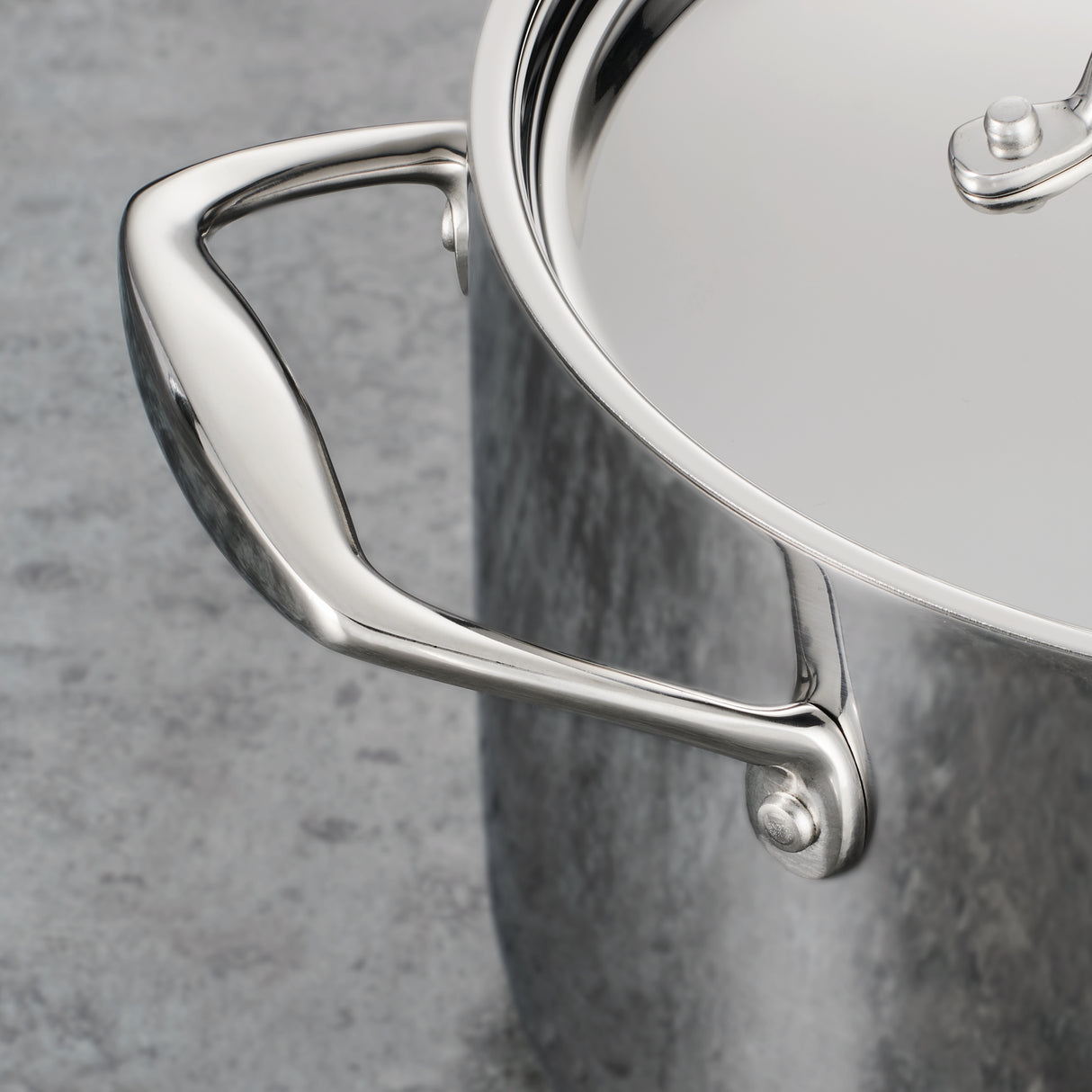 Tri-Ply Clad Stainless Steel Covered Braiser