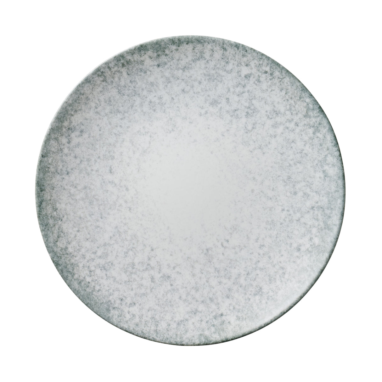 Camila Coupe 11 in Porcelain Dinner Plate