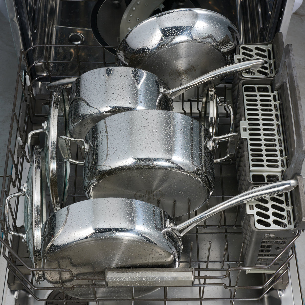 Tri-Ply Clad Stainless Steel 5 QT Covered Dutch Oven